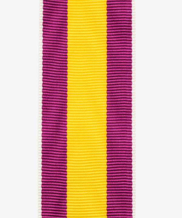 Baden, commemorative medals, war aid (138)